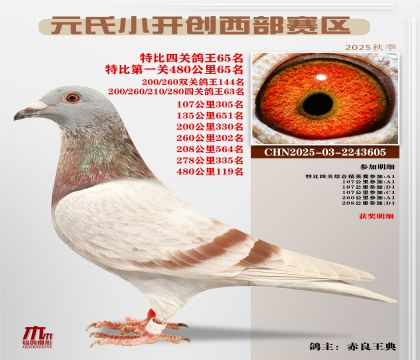 С_(ki)(chung)^(q)رP(gun)65