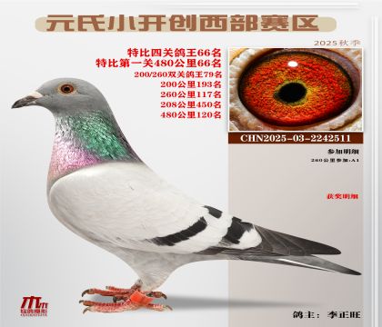 С_(ki)(chung)^(q)رP(gun)66