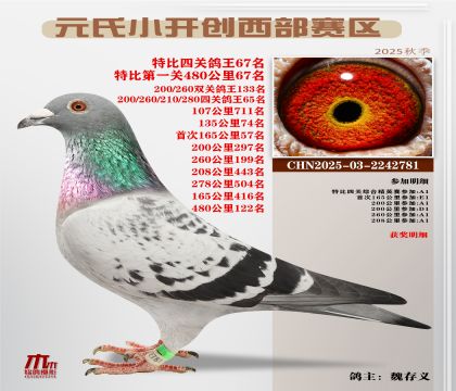 С_(ki)(chung)^(q)رP(gun)67