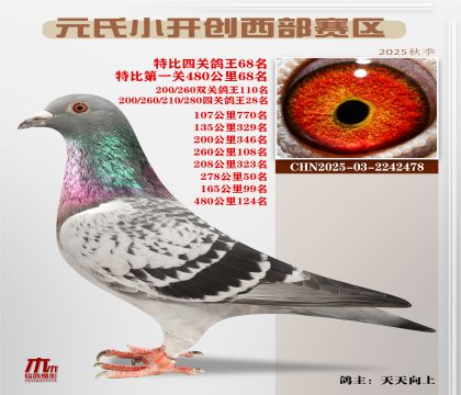 С_(ki)(chung)^(q)رP(gun)68