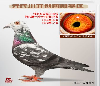 С_(ki)(chung)^(q)رP(gun)69