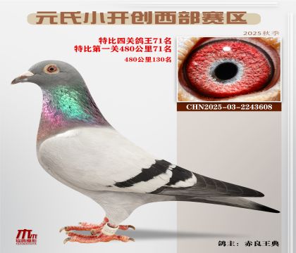 С_(ki)(chung)^(q)رP(gun)71