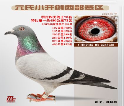 С_(ki)(chung)^(q)رP(gun)73