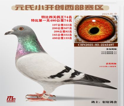 С_(ki)(chung)^(q)رP(gun)74