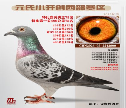 С_(ki)(chung)^(q)رP(gun)75