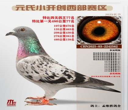 С_(ki)(chung)^(q)رP(gun)77