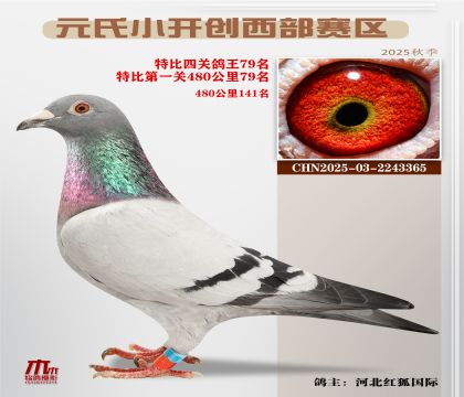 С_(ki)(chung)^(q)رP(gun)79