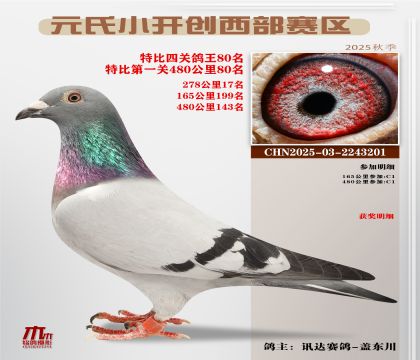 С_(ki)(chung)^(q)رP(gun)80