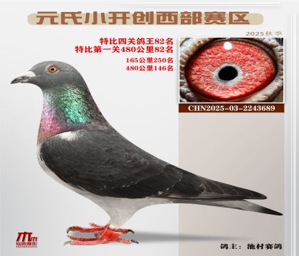 С_(ki)(chung)^(q)رP(gun)82