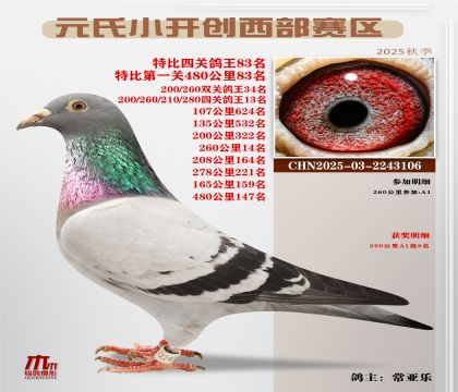 С_(ki)(chung)^(q)رP(gun)83