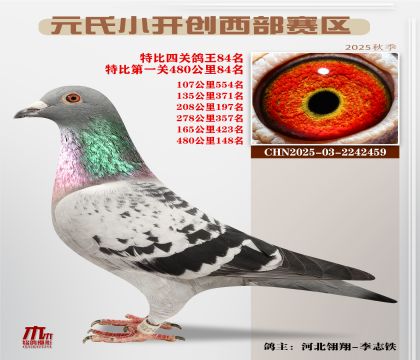 С_(ki)(chung)^(q)رP(gun)84