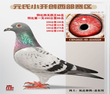 С_(ki)(chung)^(q)رP(gun)86