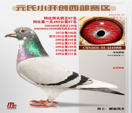 С_(ki)(chung)^(q)رP(gun)87