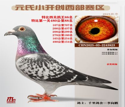 С_(ki)(chung)^(q)رP(gun)88