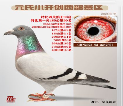 С_(ki)(chung)^(q)رP(gun)90