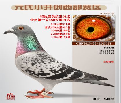 С_(ki)(chung)^(q)رP(gun)91