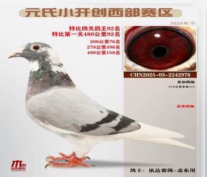 С_(ki)(chung)^(q)رP(gun)92