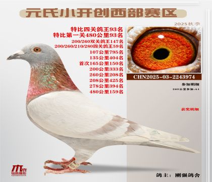 С_(ki)(chung)^(q)رP(gun)93