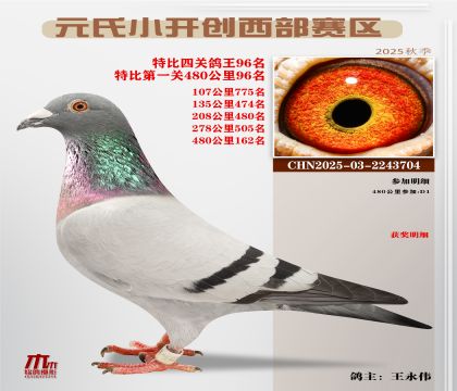 С_(ki)(chung)^(q)رP(gun)96