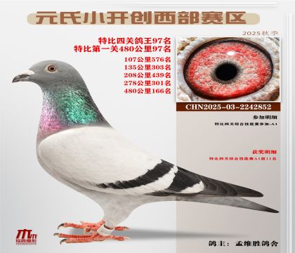 С_(ki)(chung)^(q)رP(gun)97