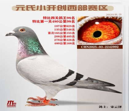 С_(ki)(chung)^(q)رP(gun)98