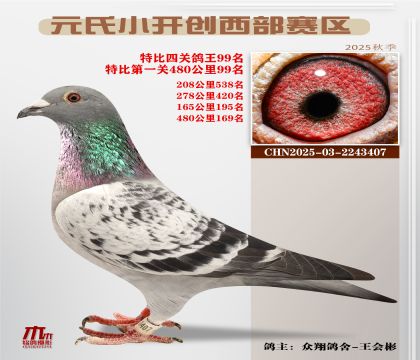 С_(ki)(chung)^(q)رP(gun)99