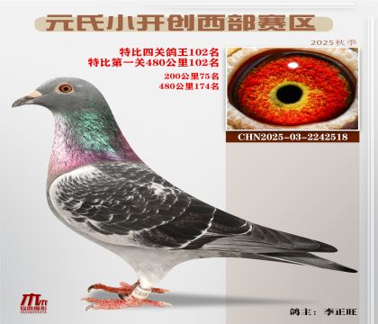 С_(ki)(chung)^(q)رP(gun)102