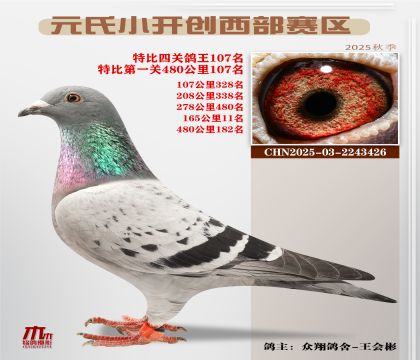 С_(ki)(chung)^(q)رP(gun)107