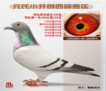 С_(ki)(chung)^(q)رP(gun)108