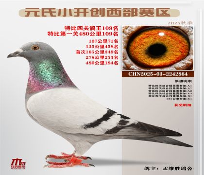 С_(ki)(chung)^(q)رP(gun)109