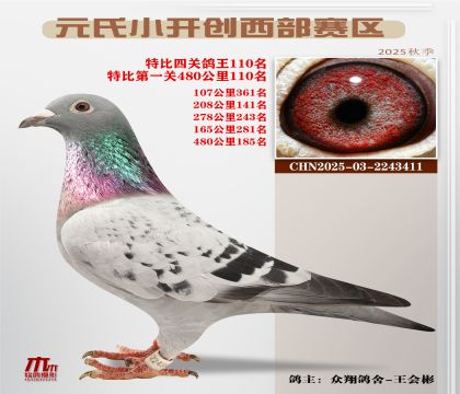 С_(ki)(chung)^(q)رP(gun)110