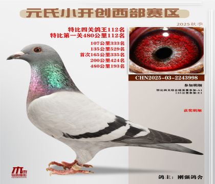 С_(ki)(chung)^(q)رP(gun)112