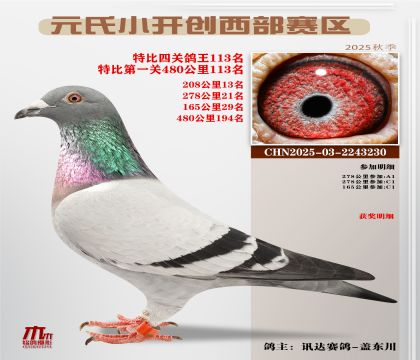 С_(ki)(chung)^(q)رP(gun)113