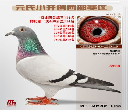 С_(ki)(chung)^(q)رP(gun)114