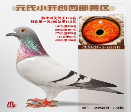 С_(ki)(chung)^(q)رP(gun)115