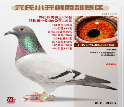 С_(ki)(chung)^(q)رP(gun)116