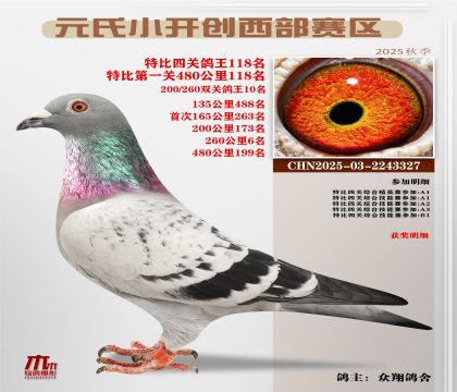 С_(ki)(chung)^(q)رP(gun)118