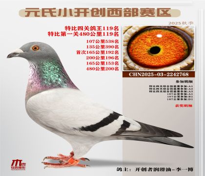 С_(ki)(chung)^(q)رP(gun)119