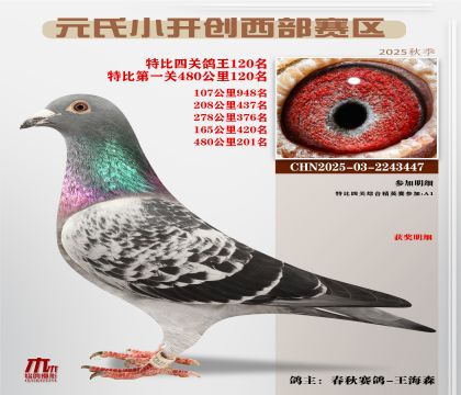 С_(ki)(chung)^(q)رP(gun)120