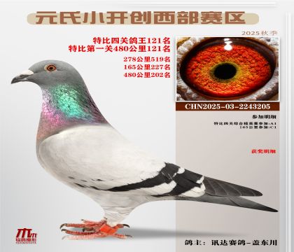 С_(ki)(chung)^(q)رP(gun)121