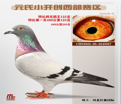 С_(ki)(chung)^(q)رP(gun)122