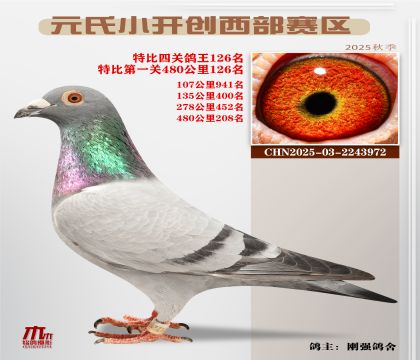 С_(ki)(chung)^(q)رP(gun)126