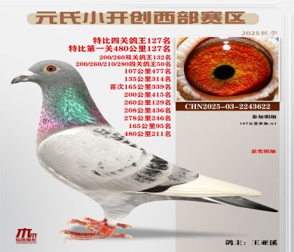 С_(ki)(chung)^(q)رP(gun)127