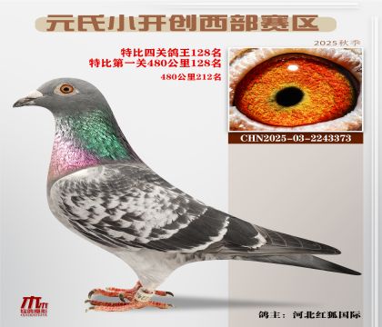 С_(ki)(chung)^(q)رP(gun)128