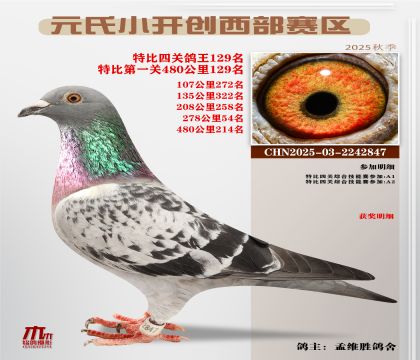 С_(ki)(chung)^(q)رP(gun)129