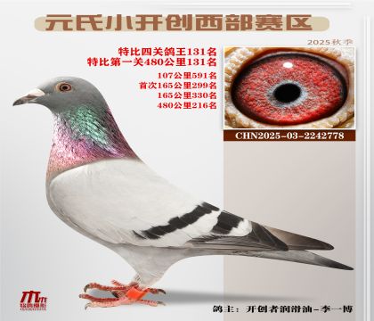 С_(ki)(chung)^(q)رP(gun)131