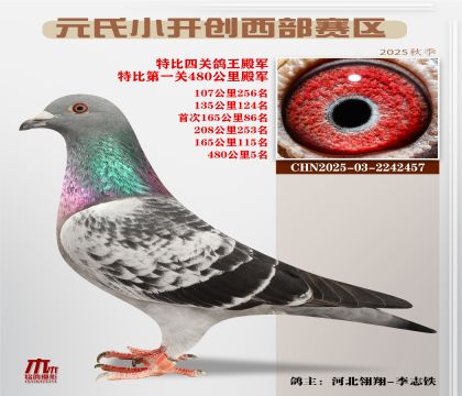 С_(ki)(chung)^(q)رP(gun)܊