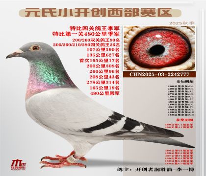 С_(ki)(chung)^(q)رP(gun)܊