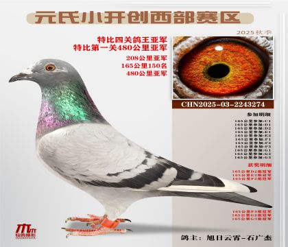 С_(ki)(chung)^(q)رP(gun)܊