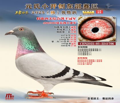 С_(chung)|^(q)رP(gun)C܊